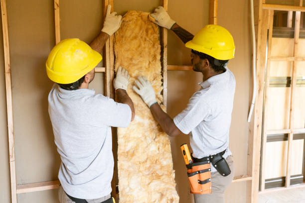 Best Insulation Contractor Near Me  in Dry Run, OH